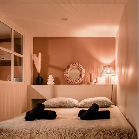 Apartman Chaleureux - Centre Ville, Zenith - Wifi *