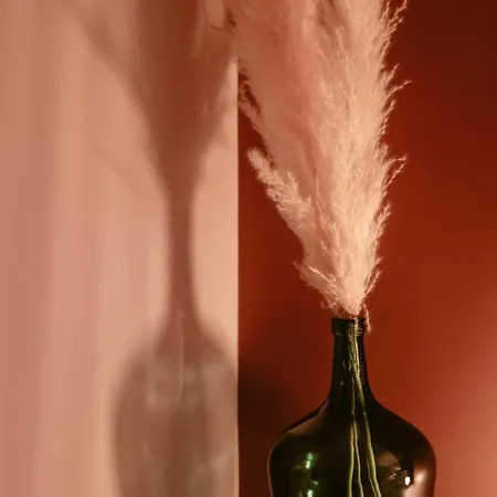 Daire Chaleureux - Centre Ville, Zenith - Wifi Caen