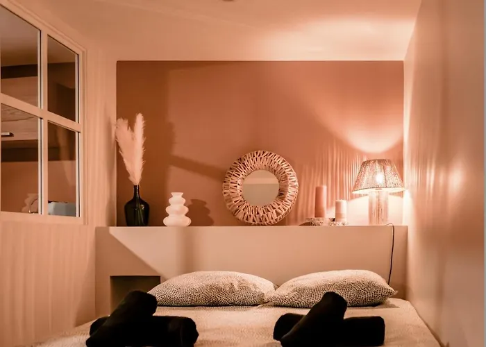 公寓 Chaleureux - Centre Ville, Zenith - Wifi *