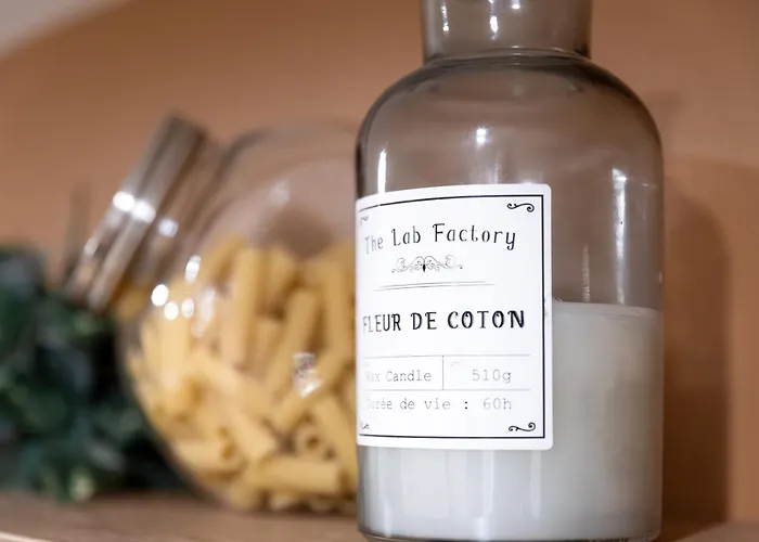 Chaleureux - Centre Ville, Zenith - Wifi 公寓 凯恩