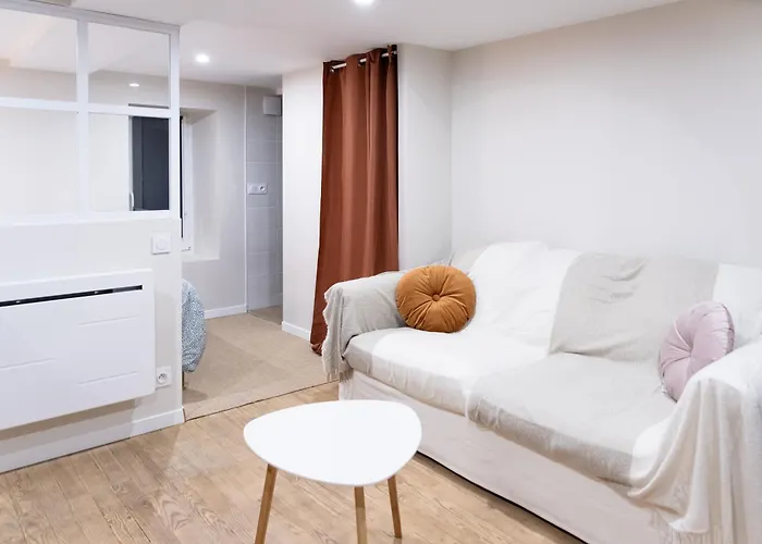 Chaleureux - Centre Ville, Zenith - Wifi * 凯恩