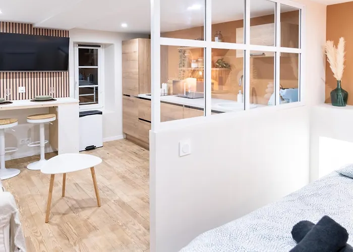 公寓 Chaleureux - Centre Ville, Zenith - Wifi 凯恩