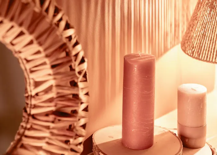 Chaleureux - Centre Ville, Zenith - Wifi 公寓 *