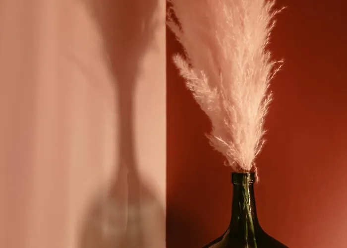 公寓 Chaleureux - Centre Ville, Zenith - Wifi 凯恩