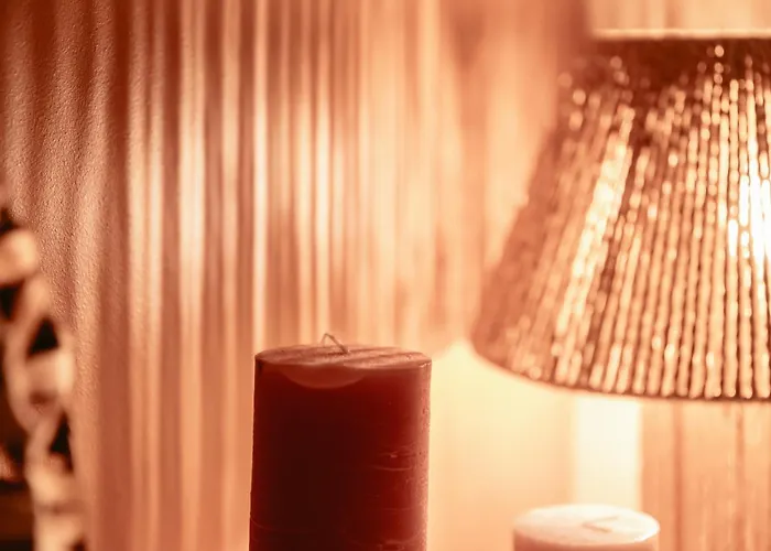 Chaleureux - Centre Ville, Zenith - Wifi 公寓