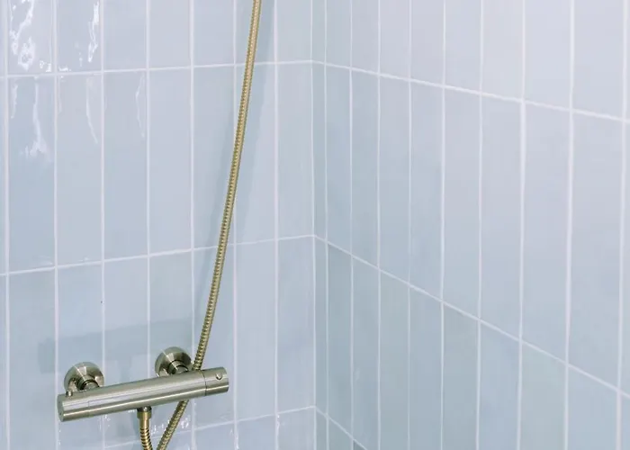 Chaleureux - Centre Ville, Zenith - Wifi 公寓